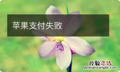 苹果支付失败