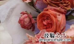 买回来的干花怎么保存 怎么保存买回来的干花