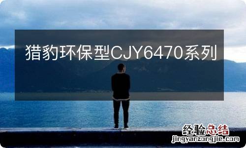 猎豹环保型CJY6470系列