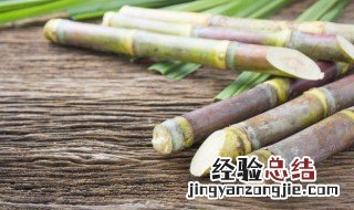 甘蔗怎么挑选比较甜 青皮甘蔗怎么挑选比较甜