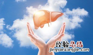 胆汁是由哪个器官生成的 胆汁是由人体的哪一个器官分泌的