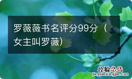 女主叫罗薇 罗薇薇书名评分99分