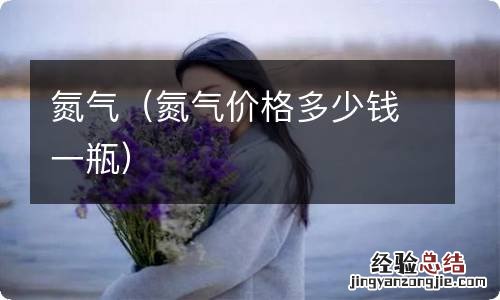 氮气价格多少钱一瓶 氮气
