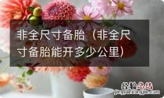 非全尺寸备胎能开多少公里 非全尺寸备胎