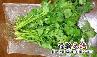 香菜保存最好的方法是什么 香菜可以冷冻保存吗