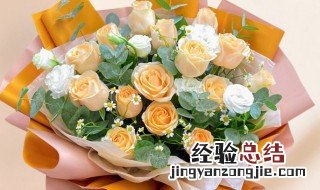 香槟玫瑰花19朵代表什么意思 香槟玫瑰花语19朵是什么