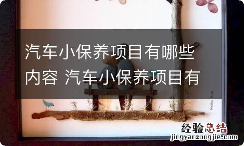 汽车小保养项目有哪些内容 汽车小保养项目有哪些内容和要求