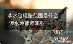 涉水险理赔范围是什么 涉水险都赔哪些