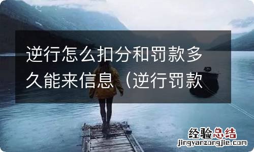 逆行罚款怎么处理 逆行怎么扣分和罚款多久能来信息