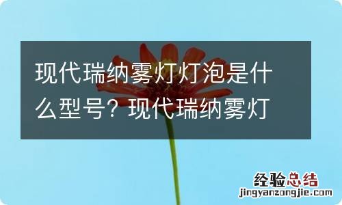 现代瑞纳雾灯灯泡是什么型号? 现代瑞纳雾灯灯泡是什么型号好