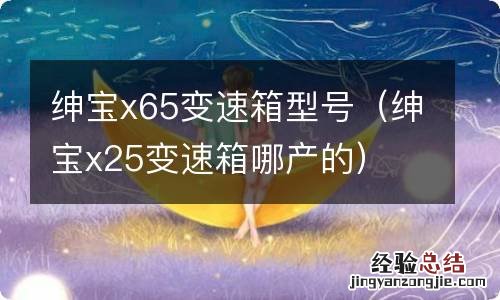 绅宝x25变速箱哪产的 绅宝x65变速箱型号