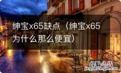 绅宝x65为什么那么便宜 绅宝x65缺点