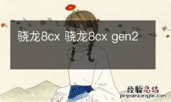 骁龙8cx 骁龙8cx gen2