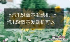 上汽1.5t蓝芯发动机 上汽1.5t蓝芯发动机可以换2.0T吗