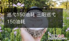 巡弋150油耗 三阳巡弋150油耗