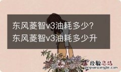 东风菱智v3油耗多少? 东风菱智v3油耗多少升