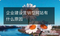 企业建设营销型网站有什么原因