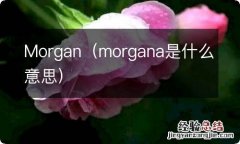 morgana是什么意思 Morgan