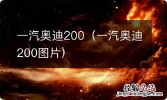 一汽奥迪200图片 一汽奥迪200