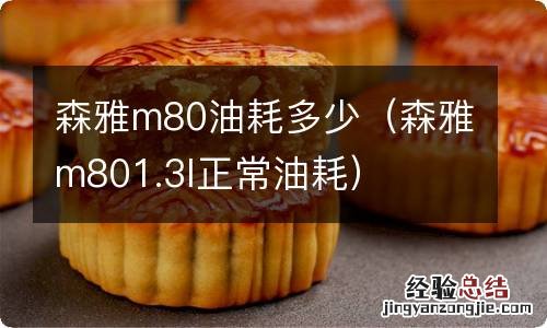 森雅m801.3l正常油耗 森雅m80油耗多少