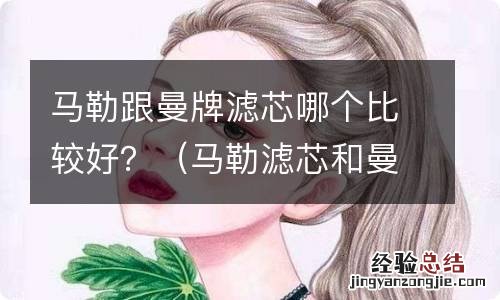 马勒滤芯和曼牌空气滤芯哪个好 马勒跟曼牌滤芯哪个比较好？