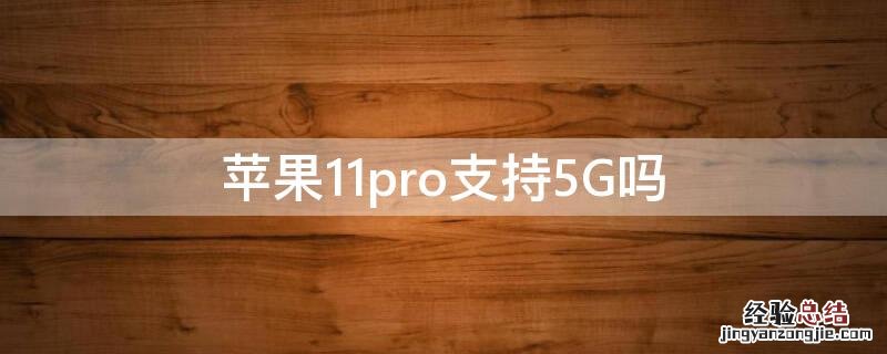 iphone11pro 支持5g吗 iPhone11pro支持5G吗