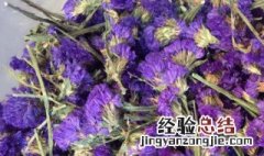 紫色的花茶是什么花 紫色的花茶是什么花名