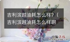 吉利滨越油耗怎么样啊 吉利滨越油耗怎么样?