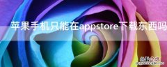 iPhone手机只能在appstore下载东西吗 苹果手机只能用appstore下载吗