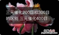 三元催化200目和300目的区别 三元催化400目与800目谁好