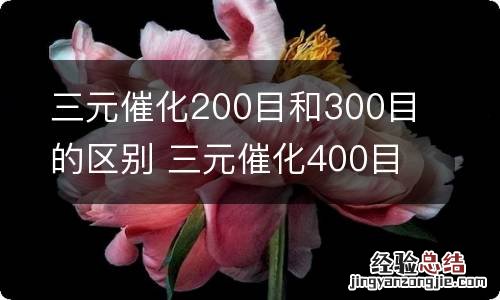 三元催化200目和300目的区别 三元催化400目与800目谁好