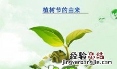 植树节的由来是什么50字 植树节的由来是什么