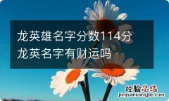 龙英雄名字分数114分 龙英名字有财运吗