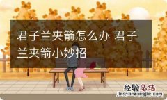 君子兰夹箭怎么办 君子兰夹箭小妙招