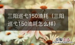 三阳巡弋150油耗怎么样 三阳巡弋150油耗