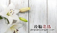 八月的代表花是什么花 八月的花语是什么花