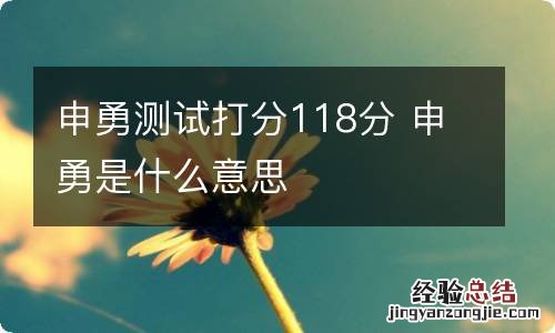 申勇测试打分118分 申勇是什么意思