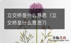 立交桥是什么意思? 立交桥是什么意思