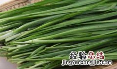 韭菜怎么种植 韭菜的种植方法