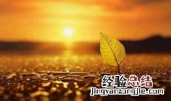 适合情商高的人发的说说短句 适合发高情商的句子