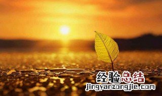 适合情商高的人发的说说短句 适合发高情商的句子