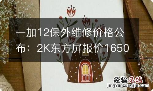 一加12保外维修价格公布：2K东方屏报价1650元