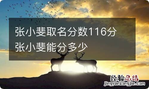 张小斐取名分数116分 张小斐能分多少