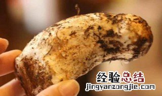 新鲜松茸怎么处理干净 新鲜松茸的最佳处理方法