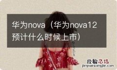 华为nova12预计什么时候上市 华为nova