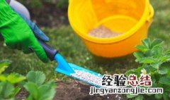 如何做园艺肥料 养花有机肥可以这样做