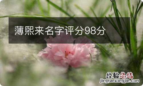 薄煕来名字评分98分