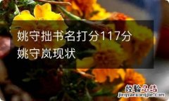 姚守拙书名打分117分 姚守岚现状