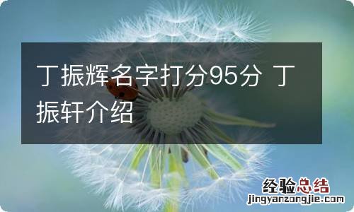 丁振辉名字打分95分 丁振轩介绍