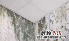 怎样做墙体永久不发霉 怎样做墙体永久不发霉视频